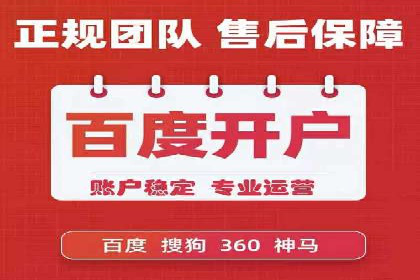 顶尖SEM竞价代运营公司案例分析